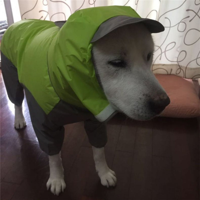 Chien Manteau Imperméable