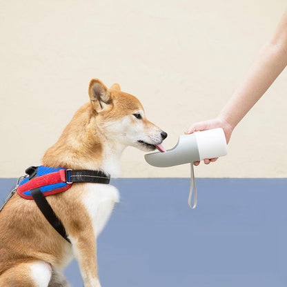 Bouteille D'eau Pour Chiens