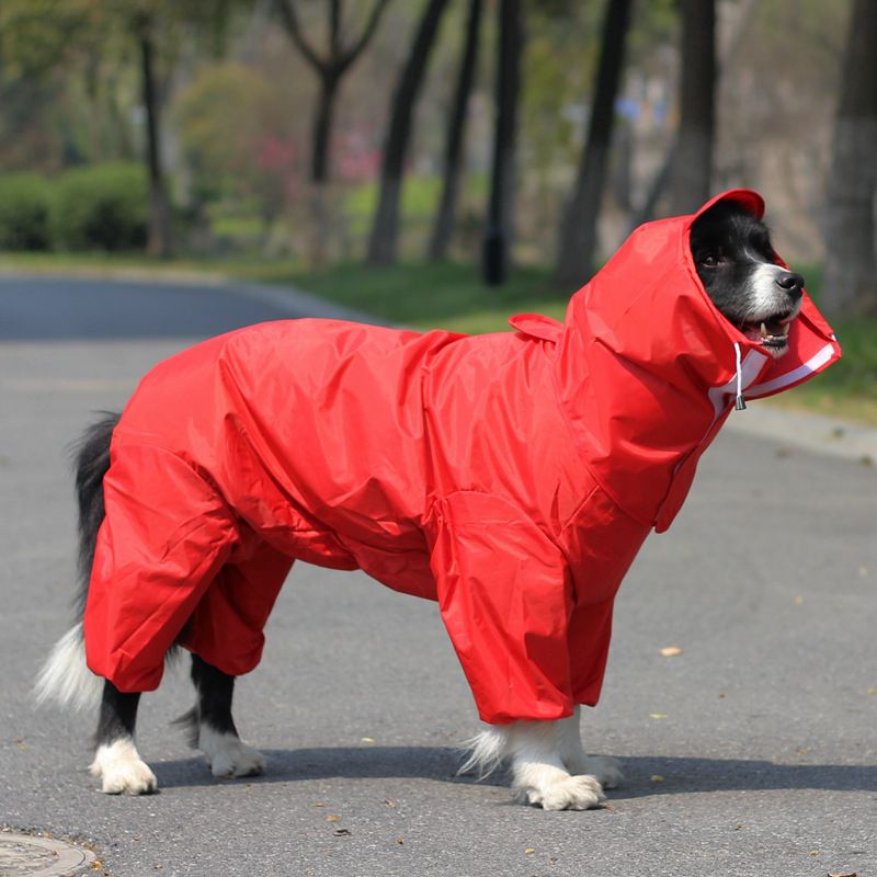 Chien Manteau Imperméable