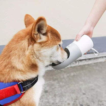 Bouteille D'eau Pour Chiens