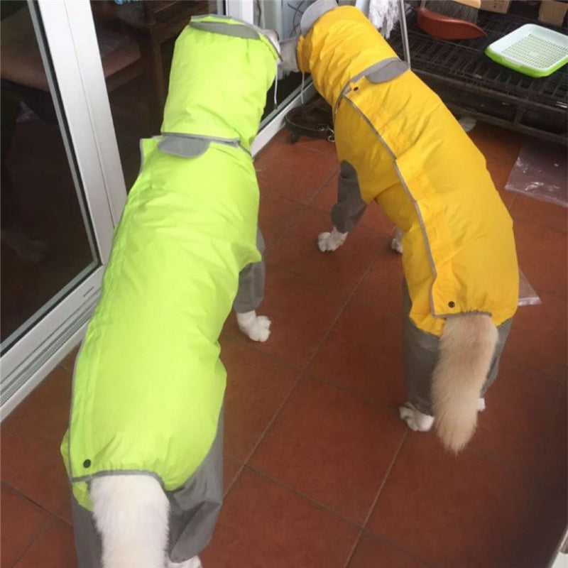 Chien Manteau Imperméable