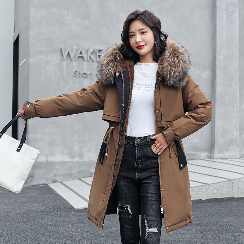 Women's New Style Pie Jacket Padded Jacket -  Jacket Women - anassiri.com